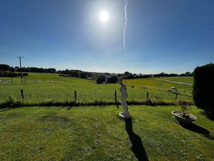 Byre - Farm Cottage On 9 Acre Equestrian Small Holding Salisbury Kültér fotó