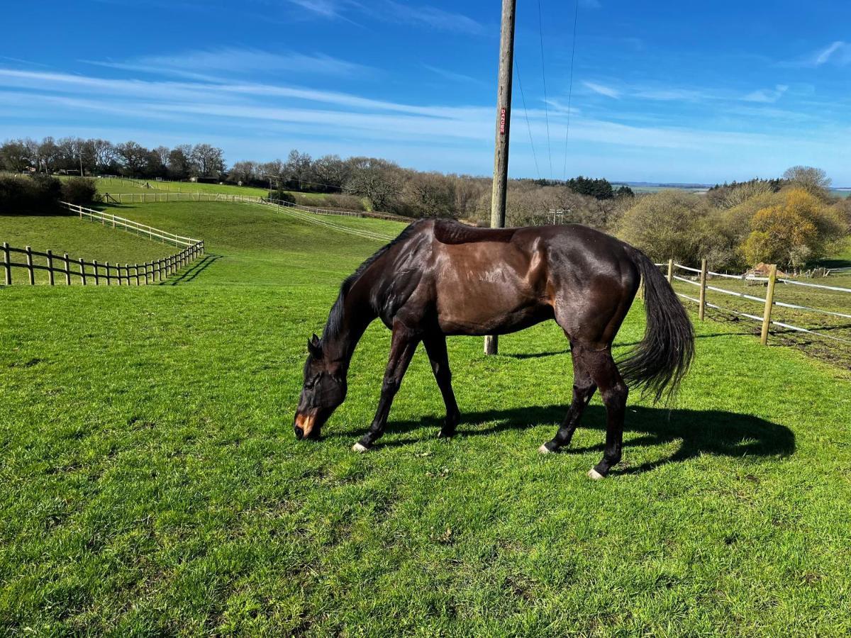 Byre - Farm Cottage On 9 Acre Equestrian Small Holding Salisbury Kültér fotó